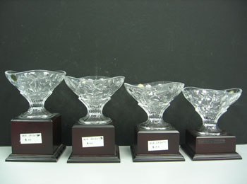 Crystal Vase RCR-231267