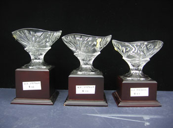 Crystal Vase RCR-398964