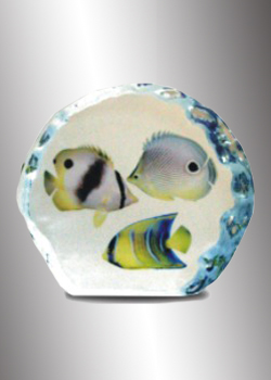 Crystal Gift 22 (1 - 2)