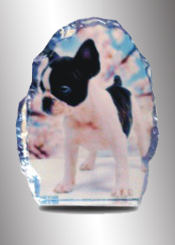 Crystal Gift 31 (36# C)