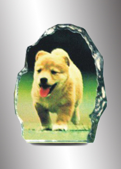 Crystal Gift 32 (36# C)