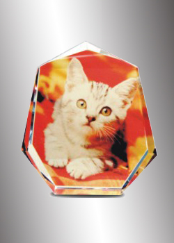 Crystal Gift 9 (AH - 20)